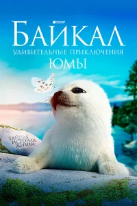  Байкал. Удивительные приключения Юмы  - главный постер